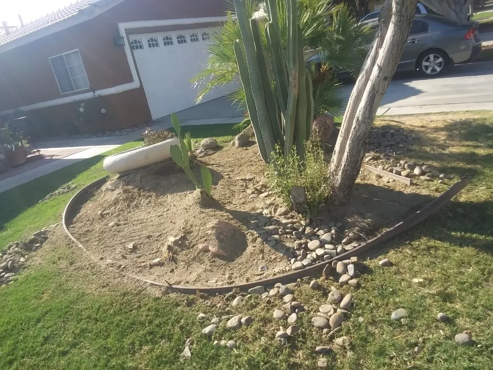 Local yard cleanup service in La Quinta, CA - Pedraza Landscape & Services