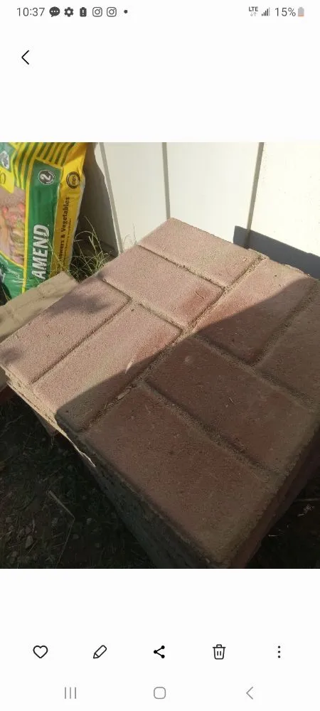 Local garden landscaping in La Quinta, CA - Pedraza Landscape & Services