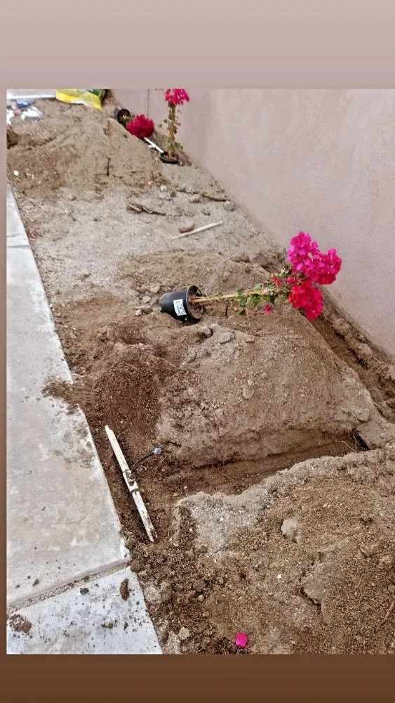 Reliable landscape design experts serving La Quinta, CA - Pedraza Landscape & Services