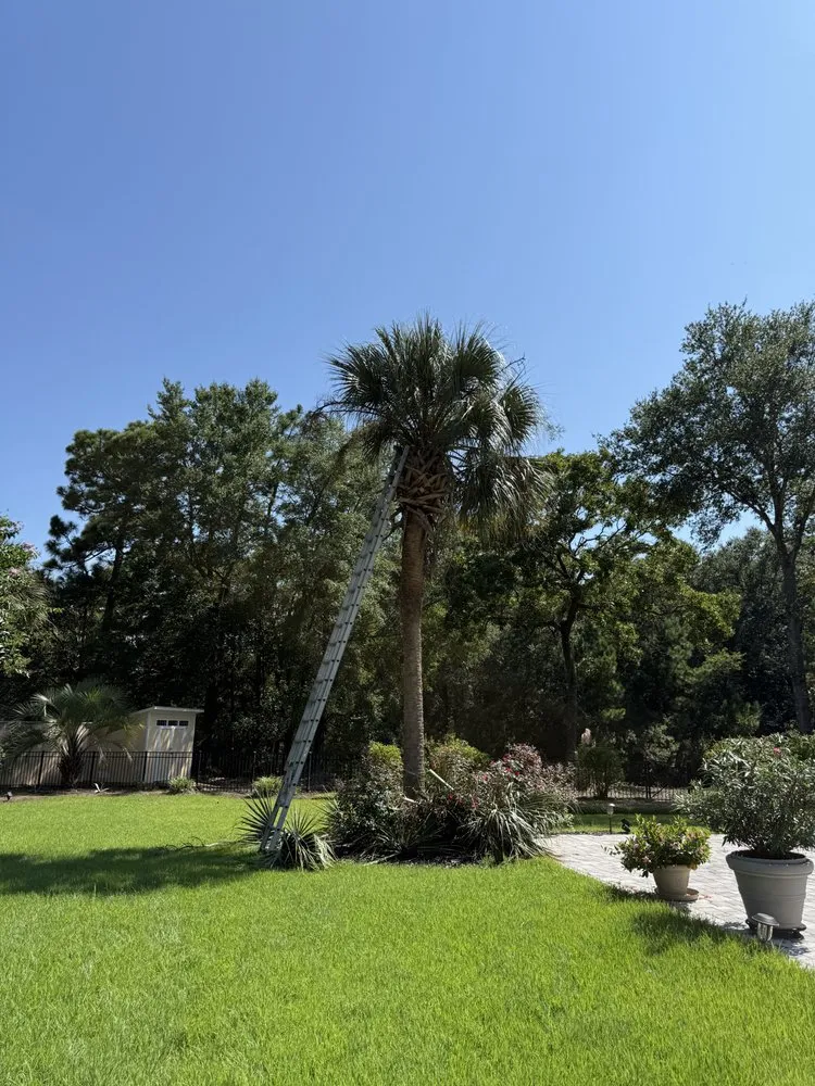 Top-rated lawn mowing service in Murrells Inlet, SC by Pedraza LawnCare