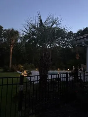 Pedraza LawnCare Logo