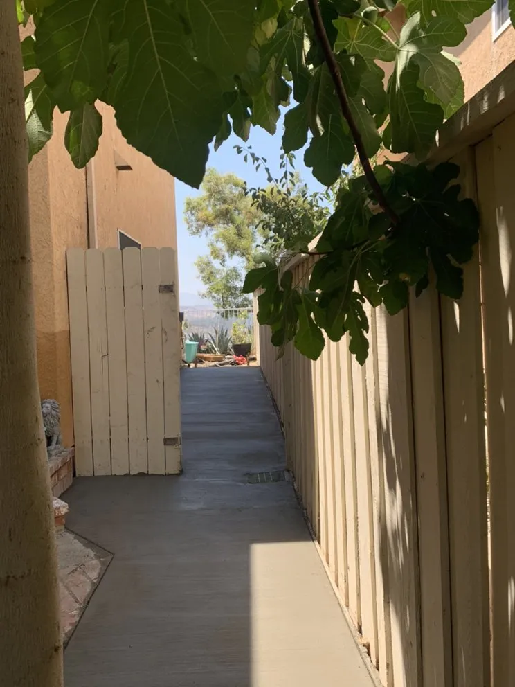 Affordable yard cleanup service experts serving Panorama city, CA - Pedro & Javier Lopez Landscaping