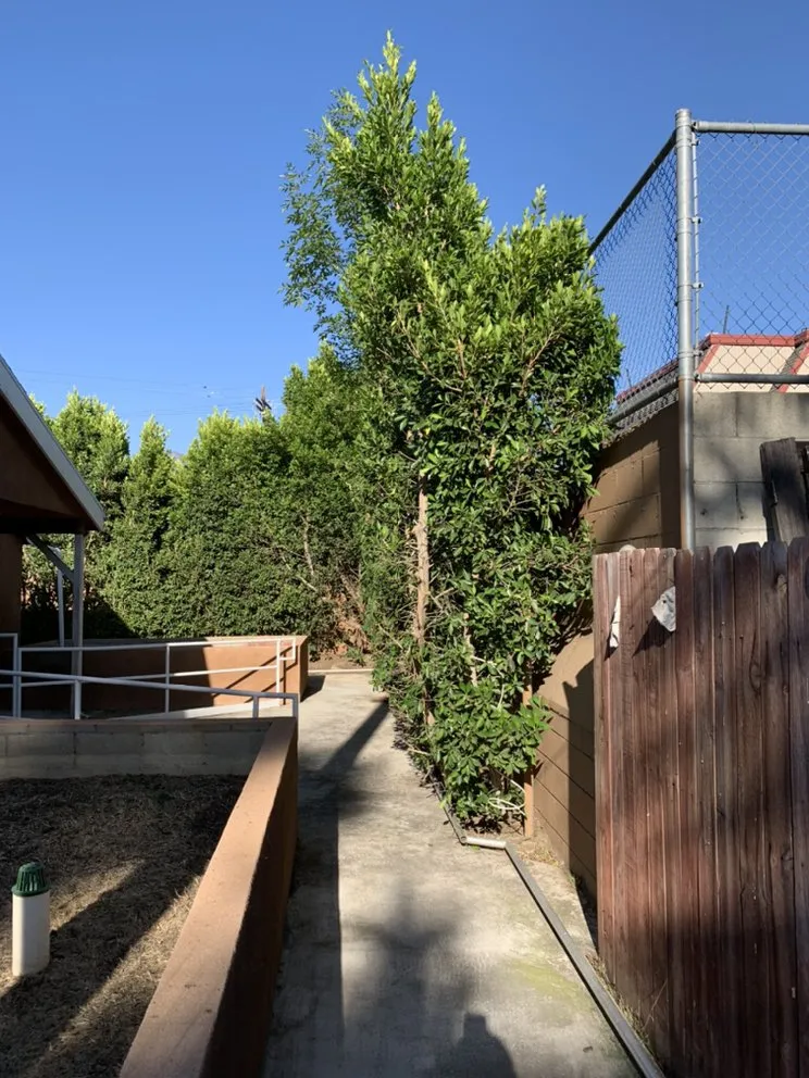 Expert outdoor landscaping near you in Panorama city, CA by Pedro & Javier Lopez Landscaping