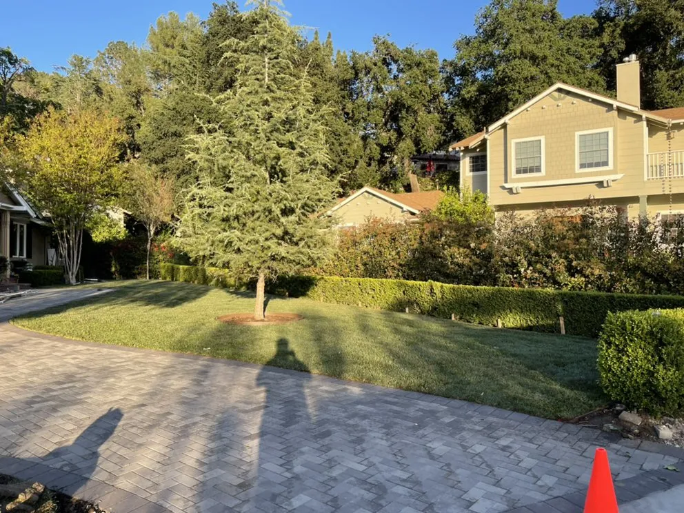 Trusted yard maintenance for outdoor upgrades across Panorama city, CA - Pedro & Javier Lopez Landscaping