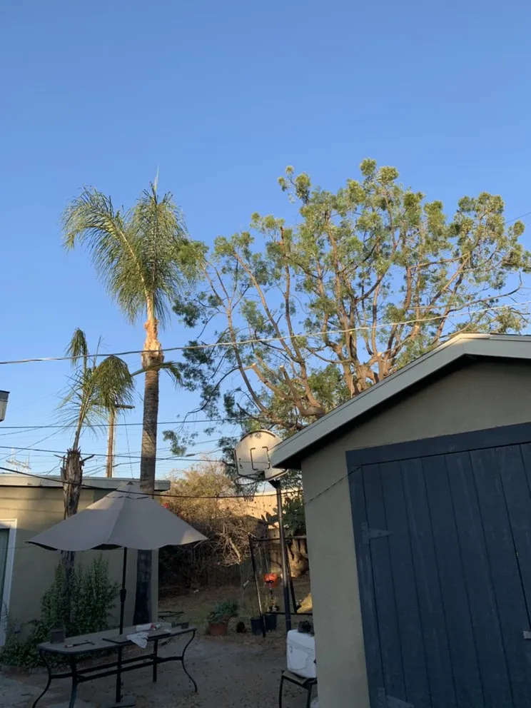 Professional landscape installation for outdoor upgrades in Panorama city, CA by Pedro & Javier Lopez Landscaping