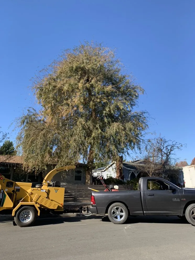 Trusted garden landscaping in Panorama city, CA by Pedro & Javier Lopez Landscaping