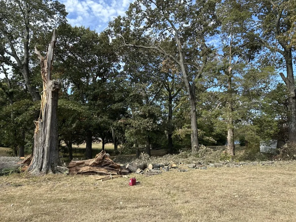 Reliable outdoor landscaping experts serving Memphis, TN - Pedro & Javier's Tree Service