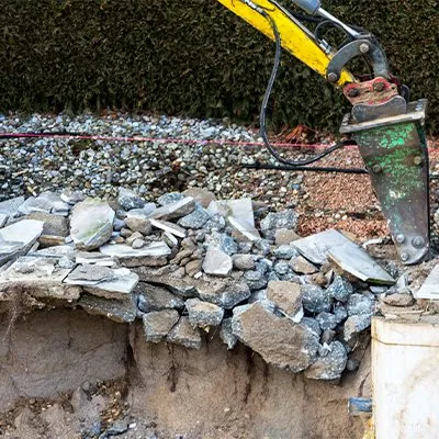 Local yard cleanup service experts serving Memphis, TN - Pedro & Javier's Tree Service