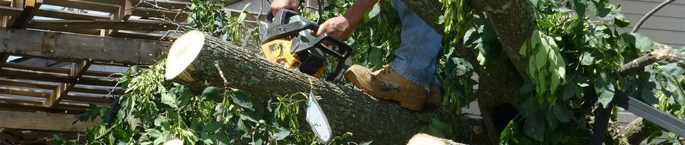 Custom garden landscaping in Memphis, TN - Pedro & Javier's Tree Service