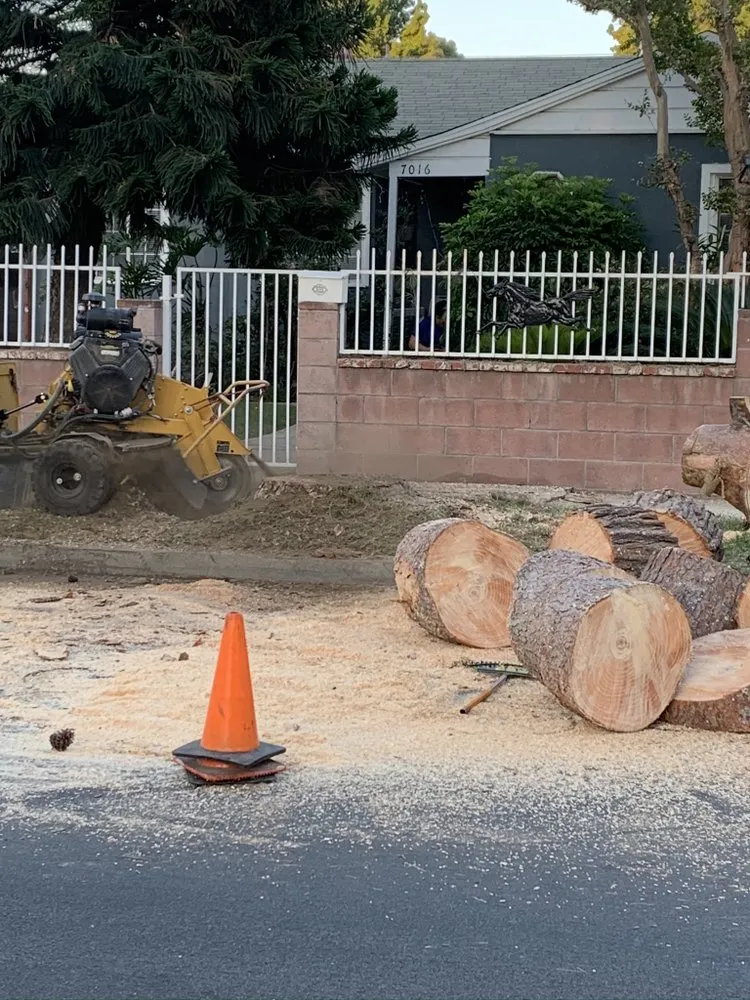 Top-rated lawn care service in Memphis, TN - Pedro & Javier's Tree Service