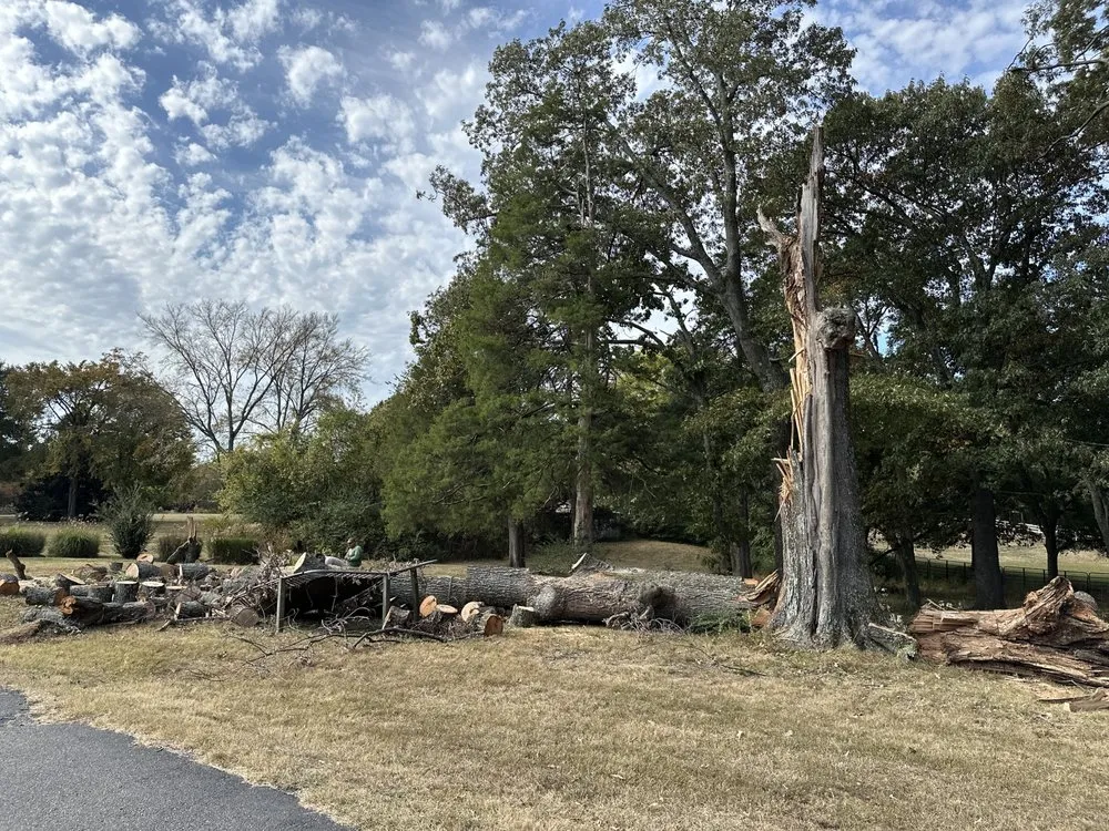 Expert lawn mowing service in Memphis, TN - Pedro & Javier's Tree Service