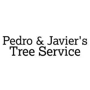 Top-rated yard cleanup service for year-round maintenance in Memphis, TN by Pedro & Javier's Tree Service