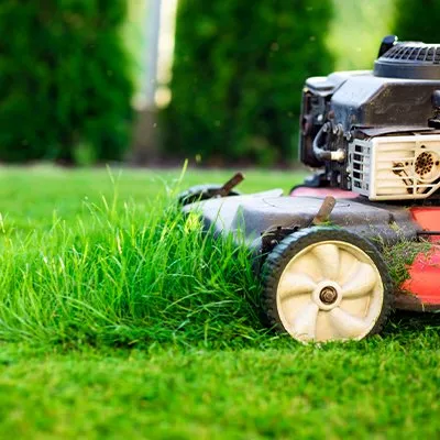 Expert landscape design in Memphis, TN - Pedro & Javier's Tree Service