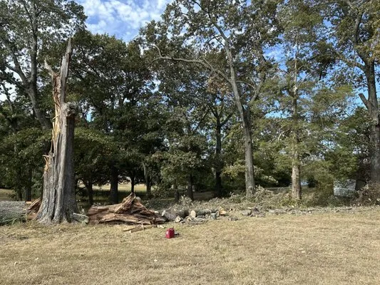 Pedro & Javier's Tree Service Logo