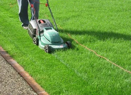 Trusted yard maintenance experts serving Bloomfield, NJ - Pedro & Son