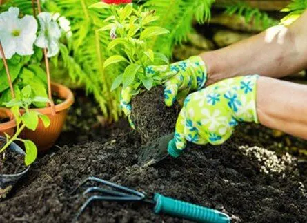 Affordable landscape installation in Bloomfield, NJ by Pedro & Son