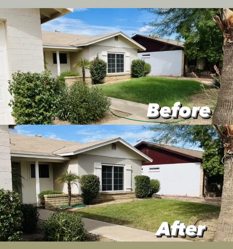 Trusted lawn mowing service in Chandler, AZ by Pedro and Sons Landscaping