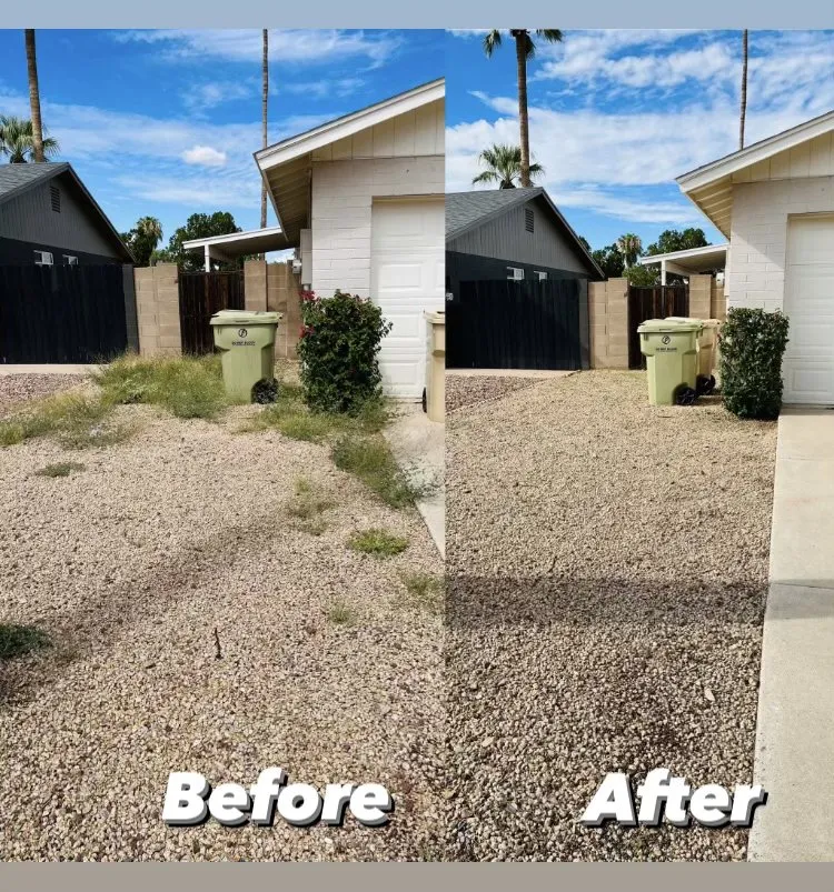 Affordable yard cleanup service in Chandler, AZ - Pedro and Sons Landscaping