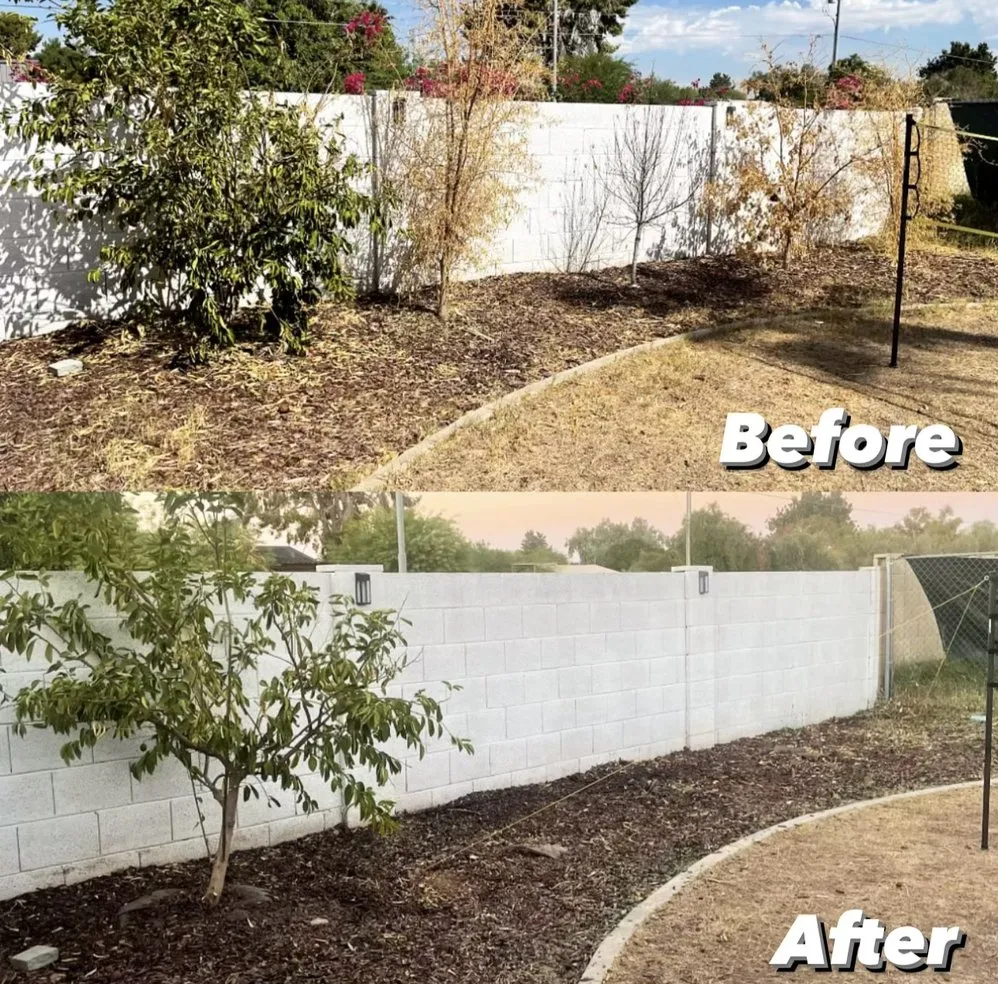 Expert landscape installation for outdoor upgrades across Chandler, AZ - Pedro and Sons Landscaping