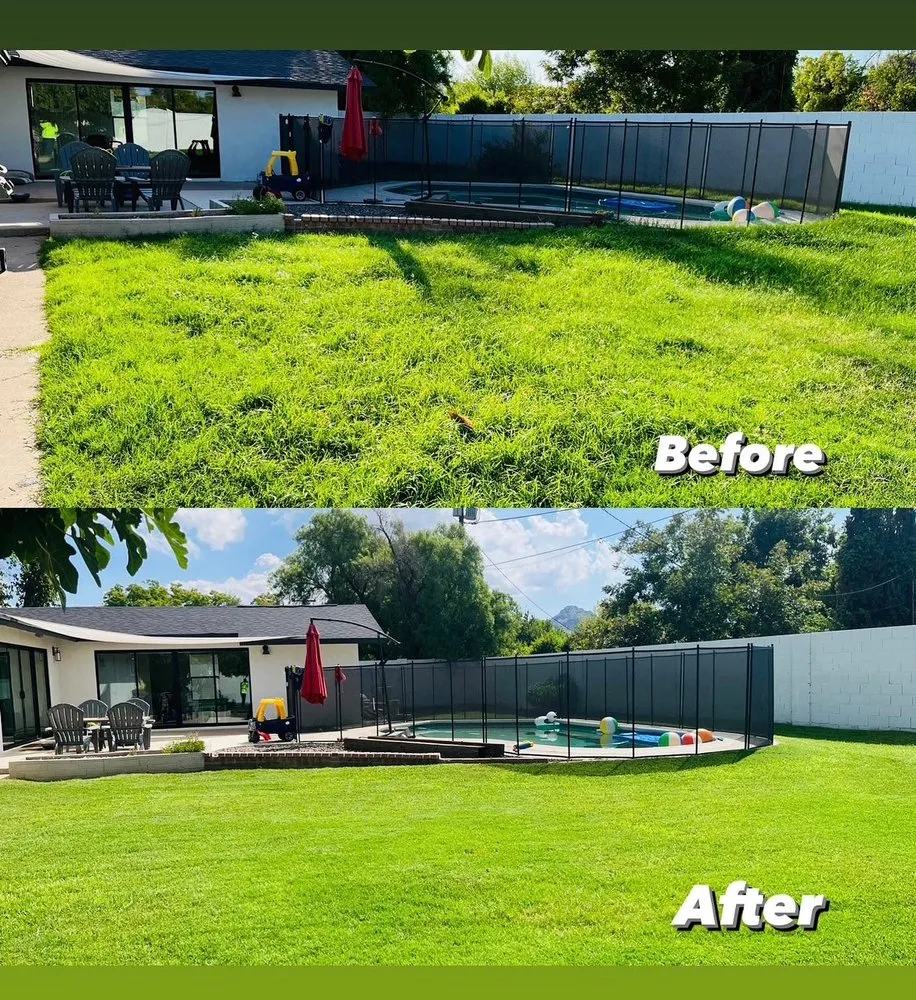 Professional outdoor landscaping experts serving Chandler, AZ - Pedro and Sons Landscaping