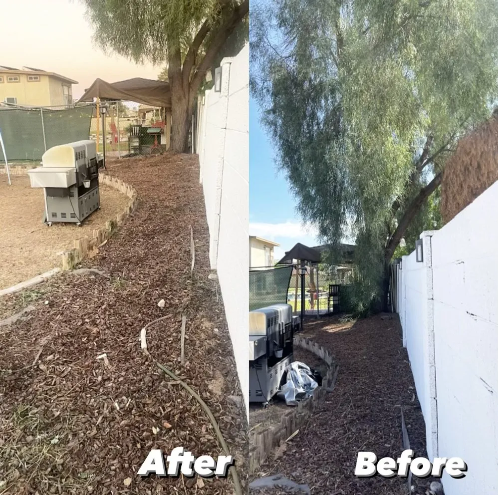 Reliable lawn care service experts serving Chandler, AZ - Pedro and Sons Landscaping
