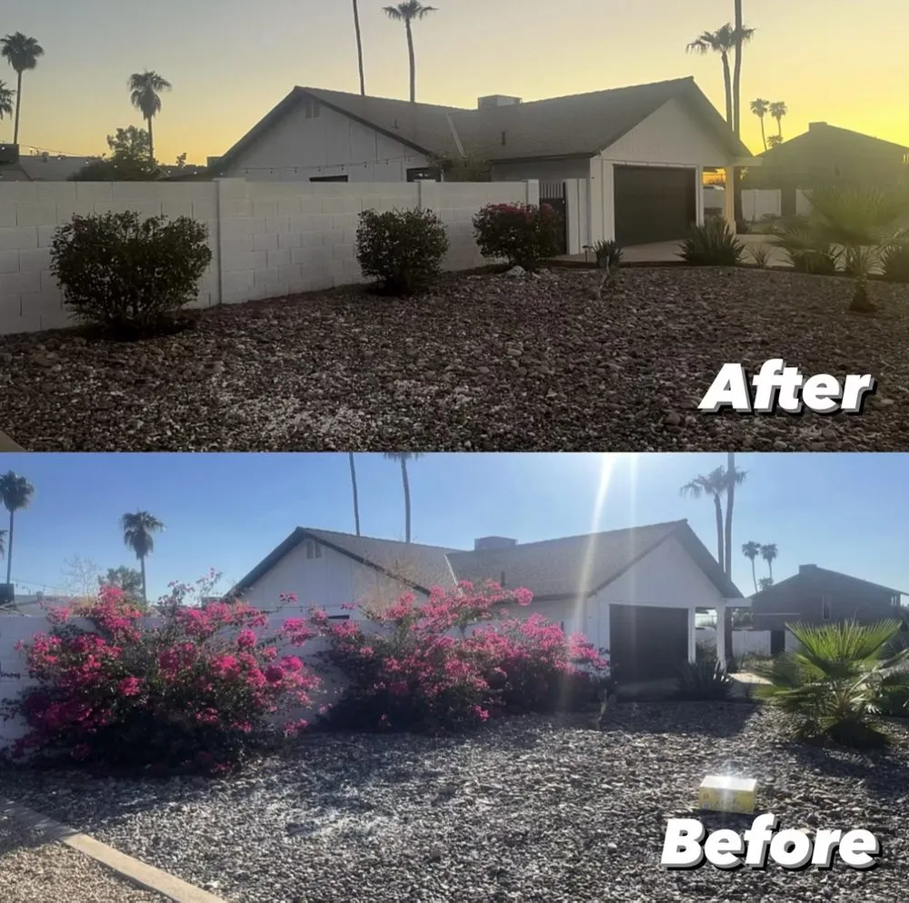 Trusted lawn mowing service for beautiful yards in Chandler, AZ by Pedro and Sons Landscaping