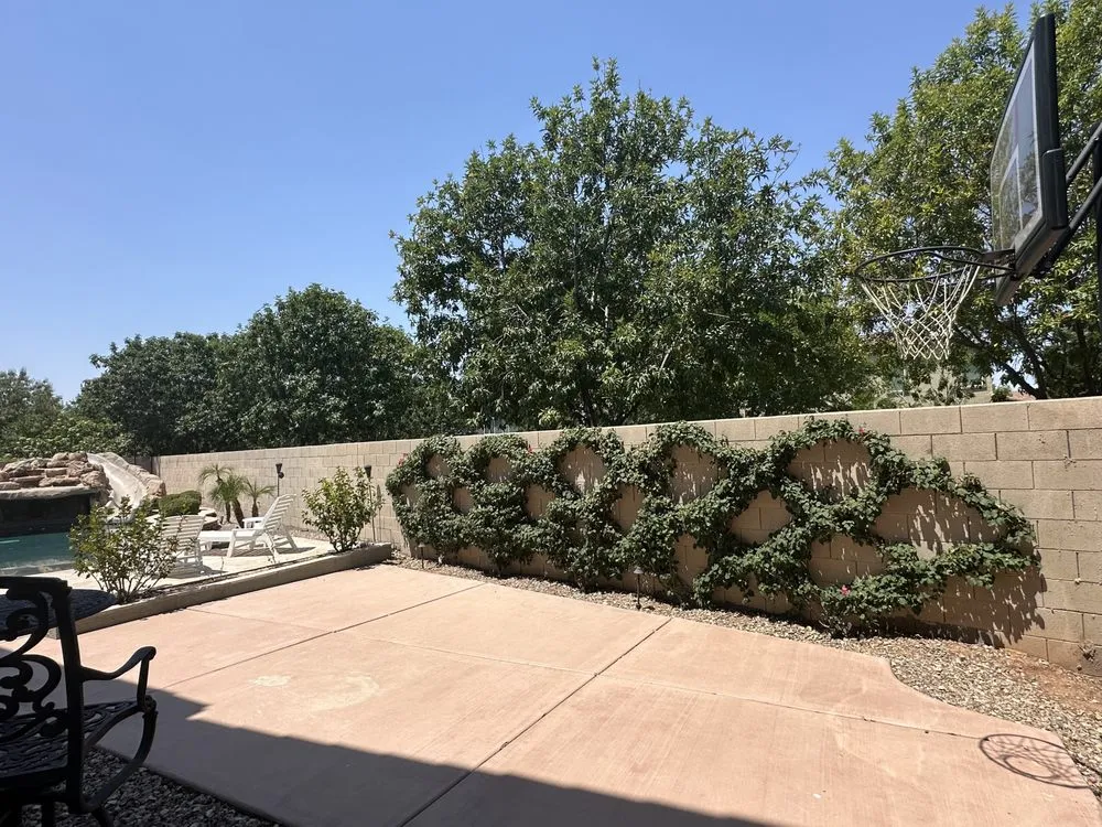 Trusted yard cleanup service in Chandler, AZ - Pedro and Sons Landscaping