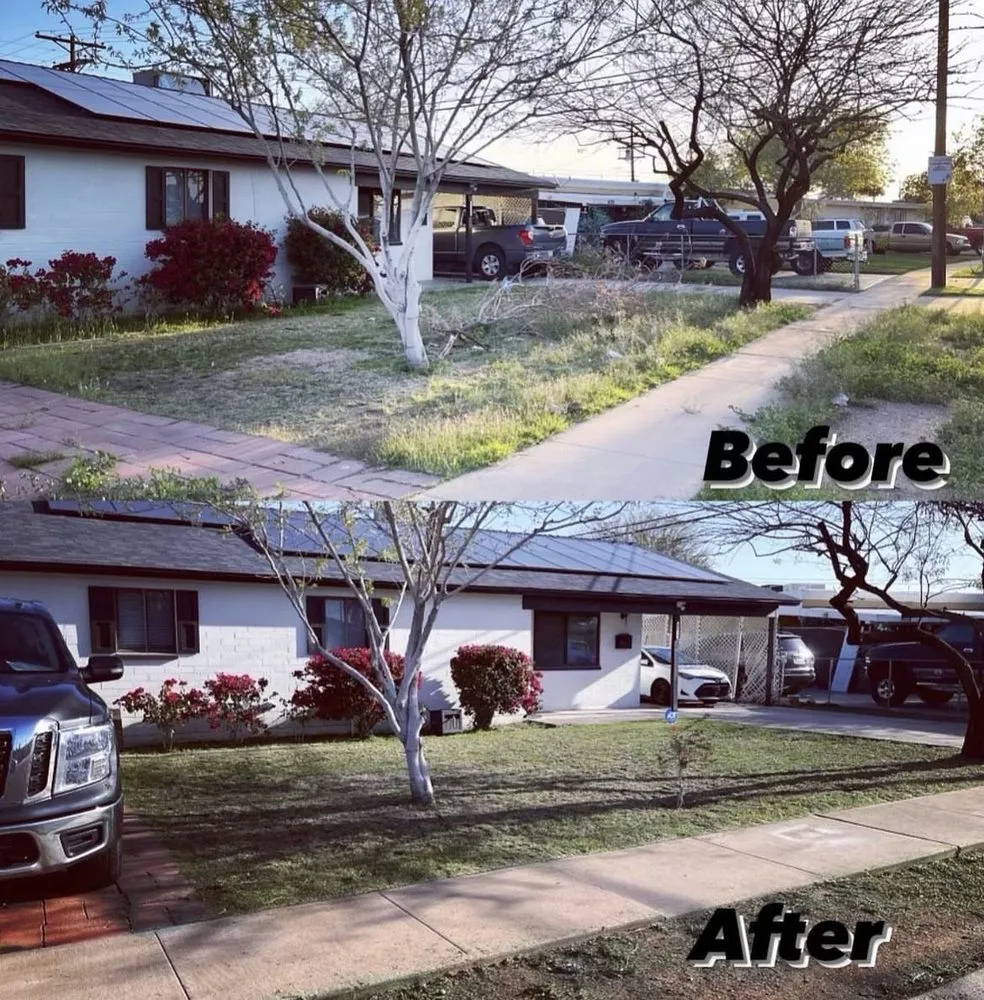 Reliable garden landscaping for outdoor upgrades in Chandler, AZ by Pedro and Sons Landscaping