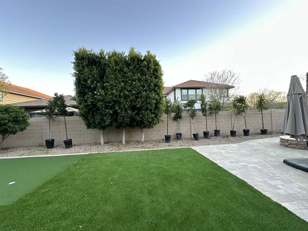 Local landscaping services experts serving Chandler, AZ - Pedro and Sons Landscaping