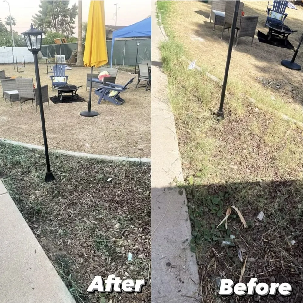 Top-rated lawn mowing service in Chandler, AZ - Pedro and Sons Landscaping