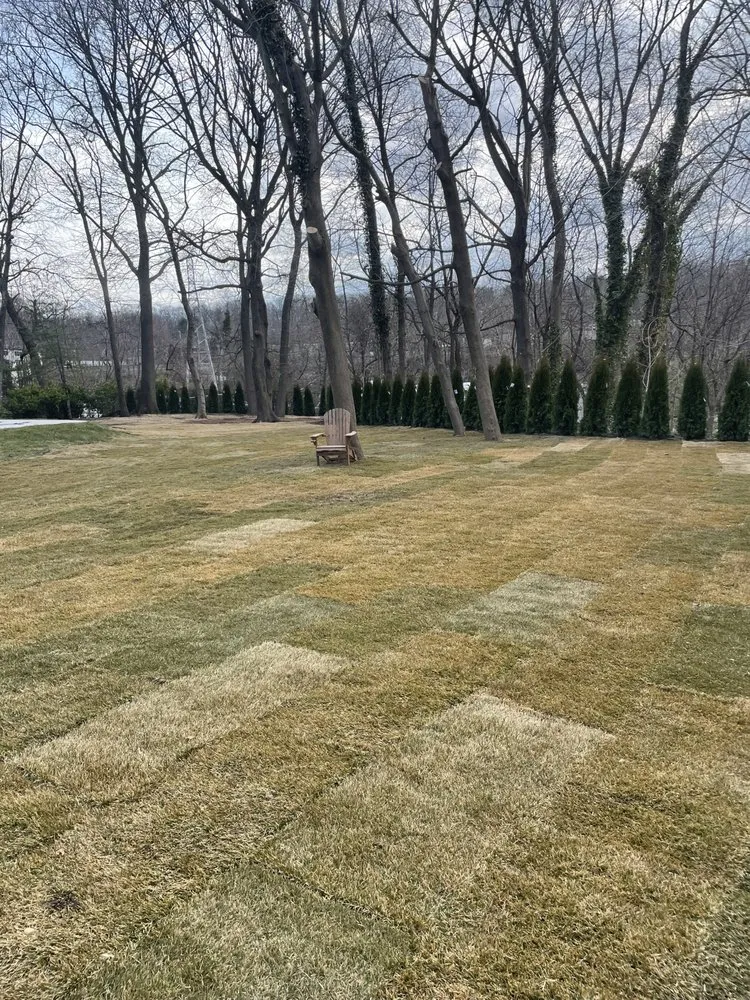 Reliable lawn mowing service in Hicksville, NY - Pedro Escobar Landscaping