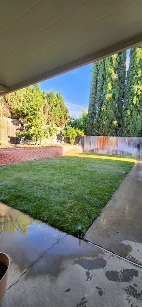 Affordable landscaping services in Jurupa Valley, CA - Pedro Gaspar