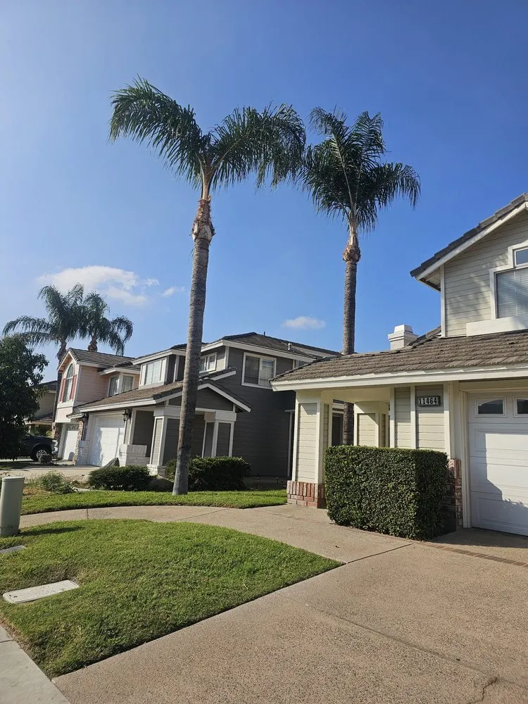 Reliable lawn mowing service in Jurupa Valley, CA - Pedro Gaspar