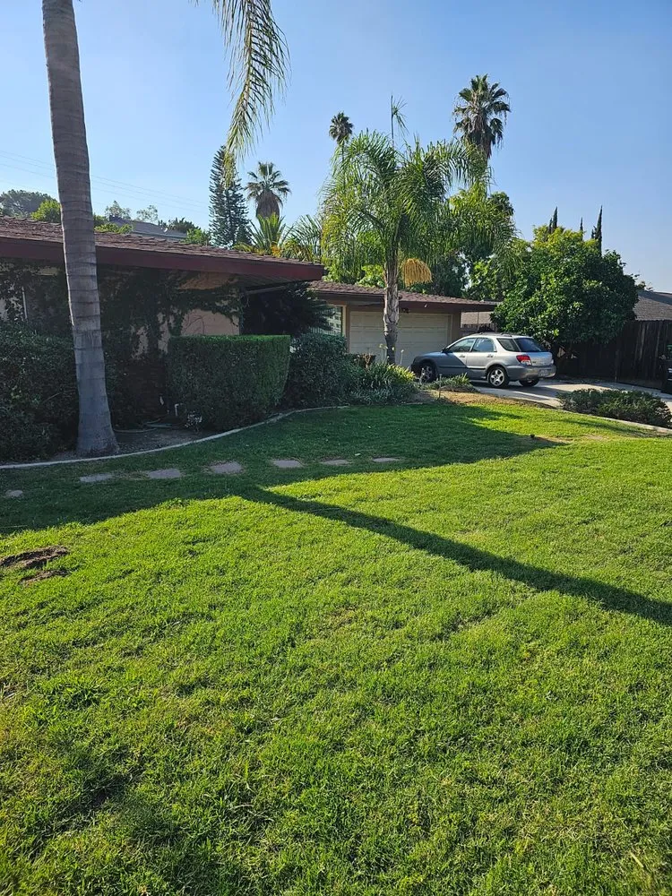 Professional outdoor landscaping with custom design in Jurupa Valley, CA by Pedro Gaspar