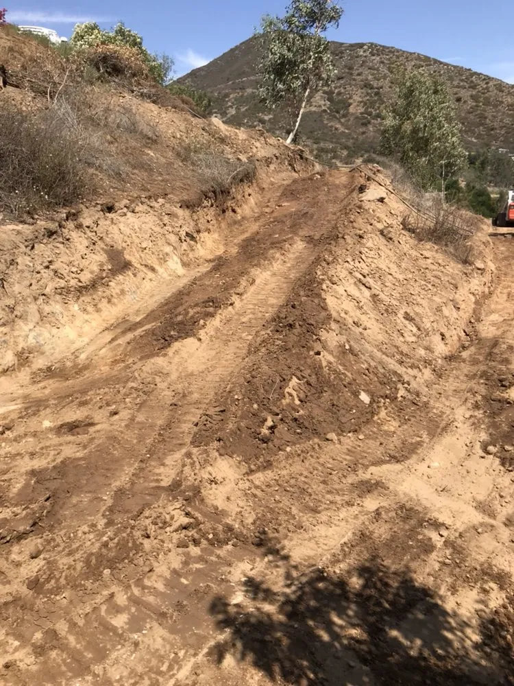 Top-rated yard cleanup service for year-round maintenance in Fallbrook, CA by Pedro Gonzalez Tree Services