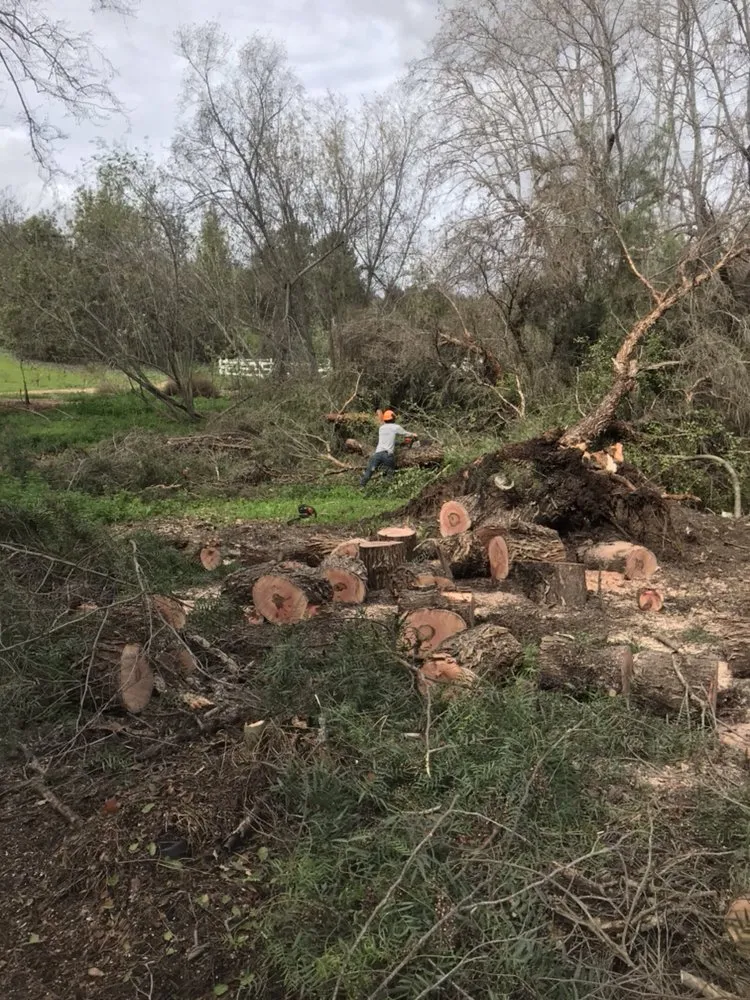 Reliable outdoor landscaping with custom design in Fallbrook, CA by Pedro Gonzalez Tree Services