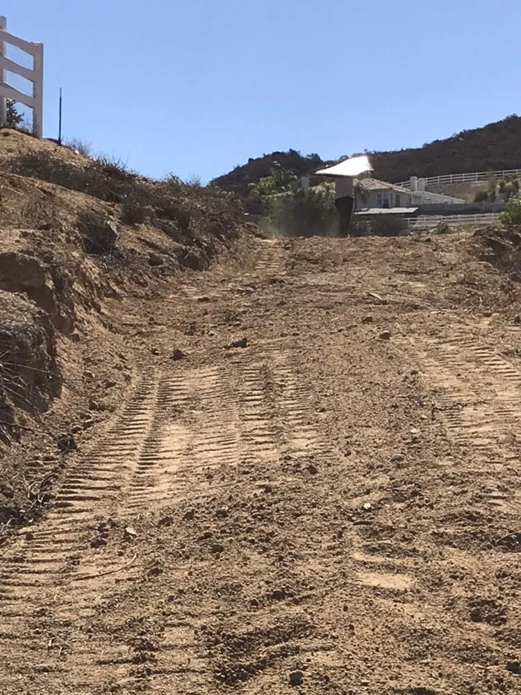 Affordable landscape installation in Fallbrook, CA - Pedro Gonzalez Tree Services