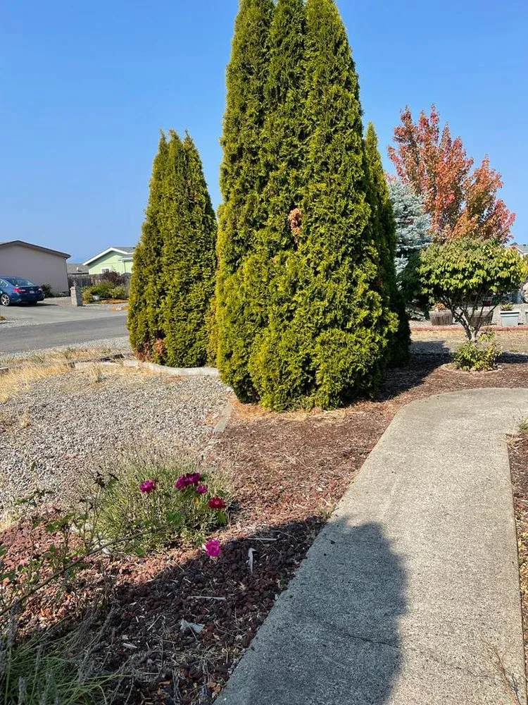 Custom lawn mowing service near you in Belfair, WA by Pedro Jesus Landscaping