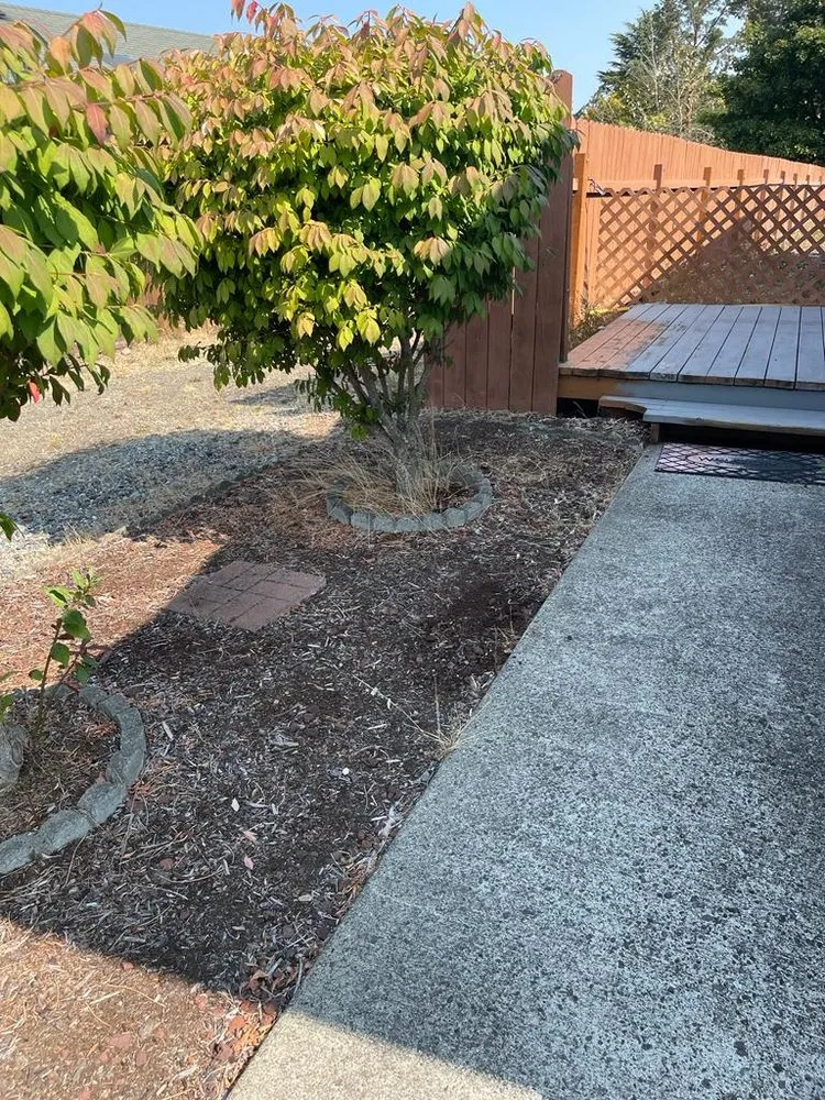 Expert landscaping services in Belfair, WA by Pedro Jesus Landscaping