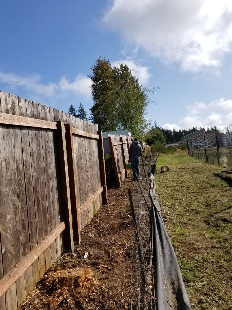 Local landscape design for outdoor upgrades across Belfair, WA - Pedro Jesus Landscaping Services
