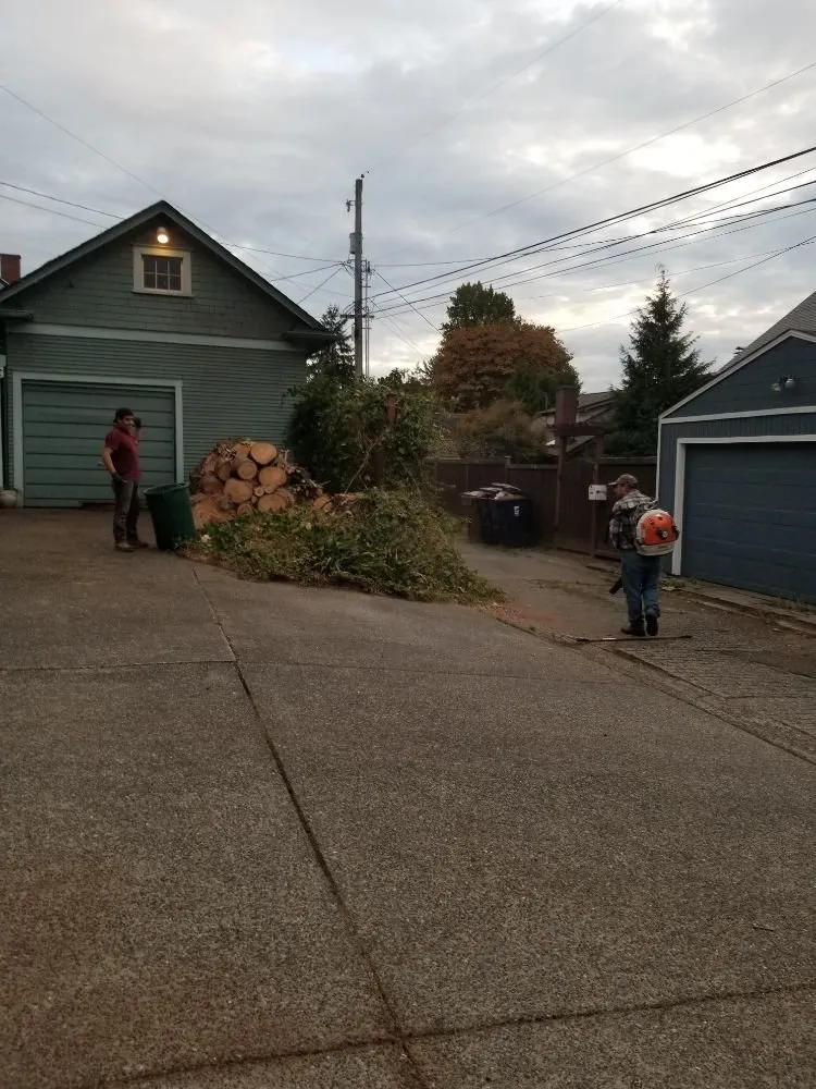 Professional residential landscaping near you in Belfair, WA by Pedro Jesus Landscaping Services