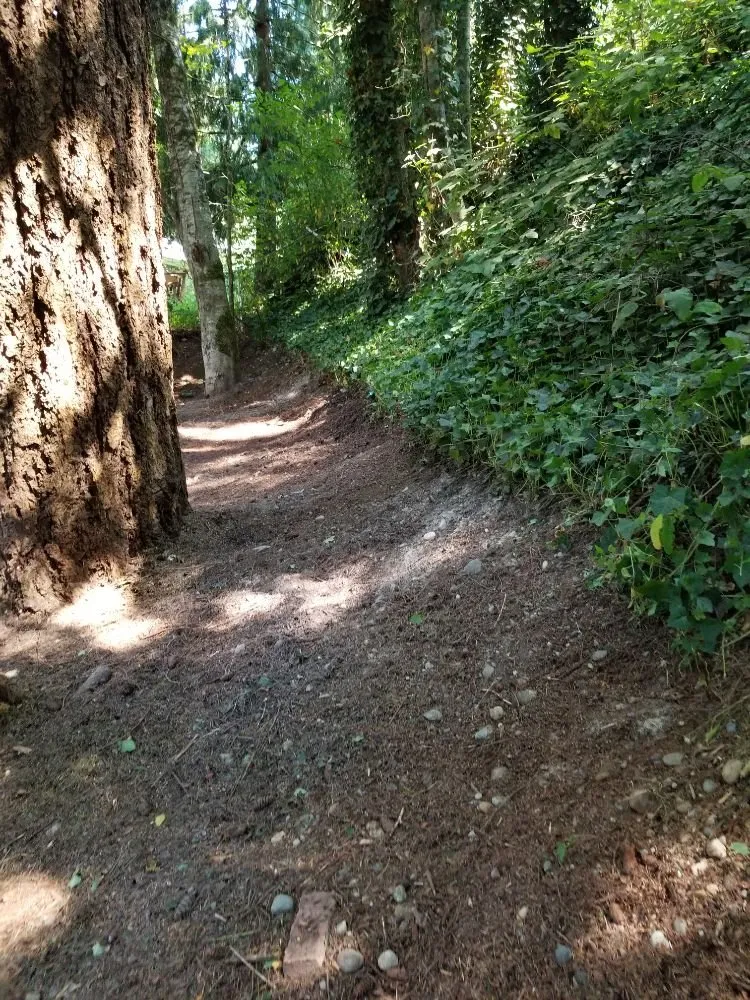 Local yard cleanup service experts serving Belfair, WA - Pedro Jesus Landscaping Services