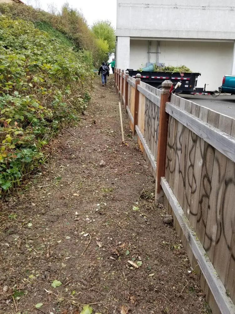 Expert residential landscaping with custom design across Belfair, WA - Pedro Jesus Landscaping Services