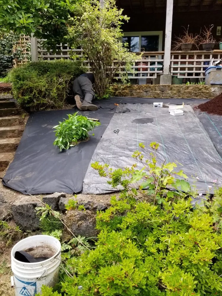 Expert landscape installation experts serving Belfair, WA - Pedro Jesus Landscaping Services