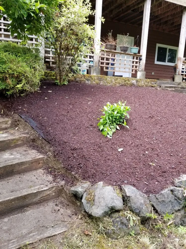 Local yard maintenance in Belfair, WA - Pedro Jesus Landscaping Services