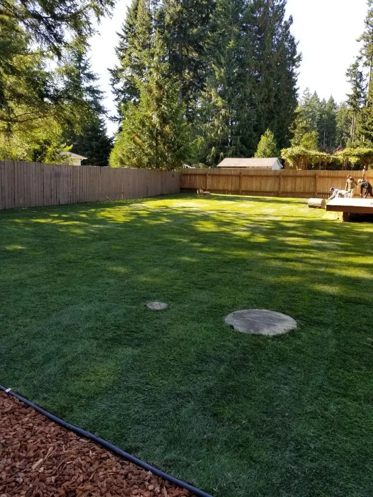 Reliable garden landscaping for homes in Belfair, WA by Pedro Jesus Landscaping Services
