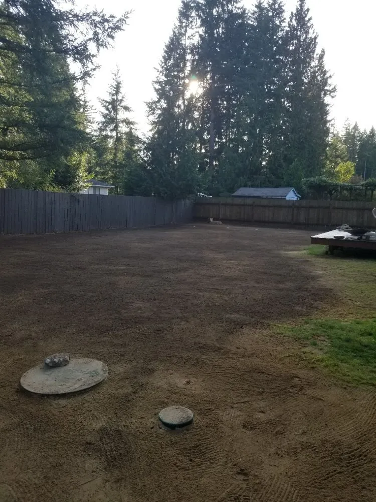 Professional yard cleanup service in Belfair, WA - Pedro Jesus Landscaping Services