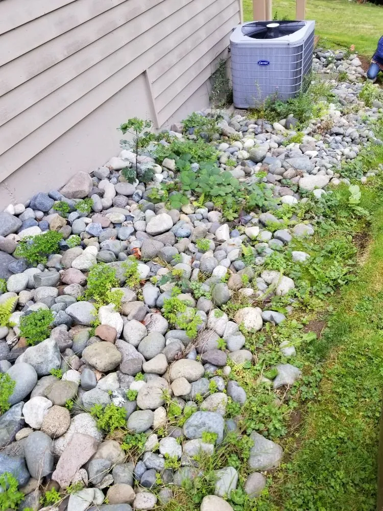 Affordable lawn mowing service for outdoor upgrades across Belfair, WA - Pedro Jesus Landscaping Services