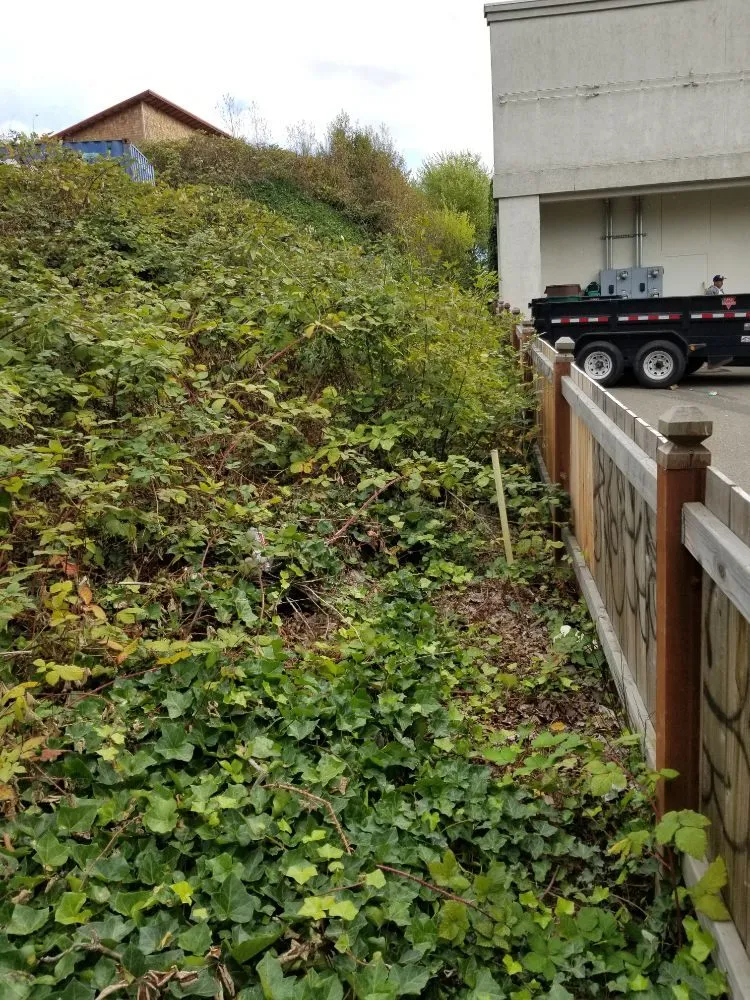 Expert residential landscaping in Belfair, WA by Pedro Jesus Landscaping Services