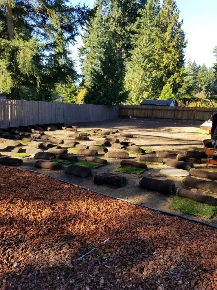 Top-rated landscaping services experts serving Belfair, WA - Pedro Jesus Landscaping Services